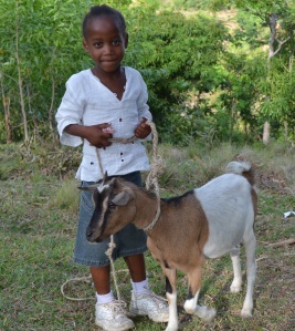 Lougou, Haiti 2013-03 (14)_für Text